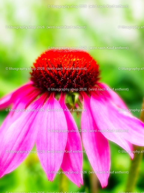 titusgraphy_P7173271-vz-ln-2 | titusgraphy-shop: Geschenkideen mit Qualitätsfotos. titusgraphy-shop: gift ideas with quality photos. titusgraphy-shop: idées cadeaux avec photos de qualité.  - Realisiert mit Pictrs.com