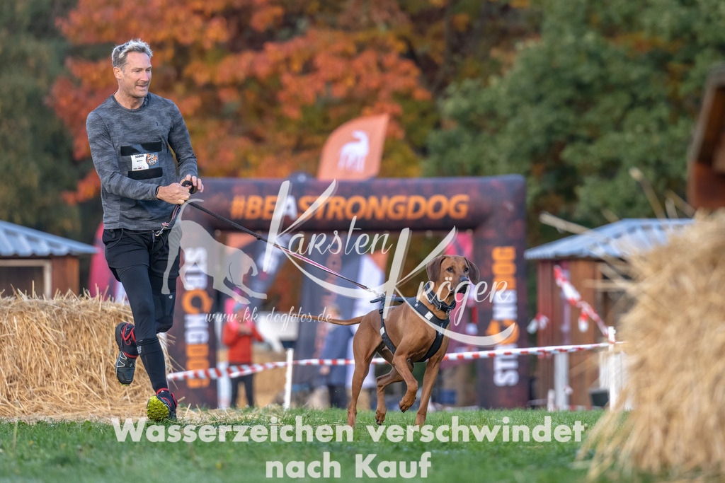 0845_ZZ91300-Bearbeitet | kk-dogfotos