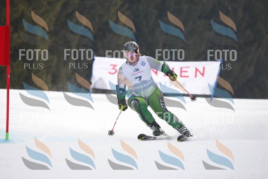 D4647 | holidayphoto