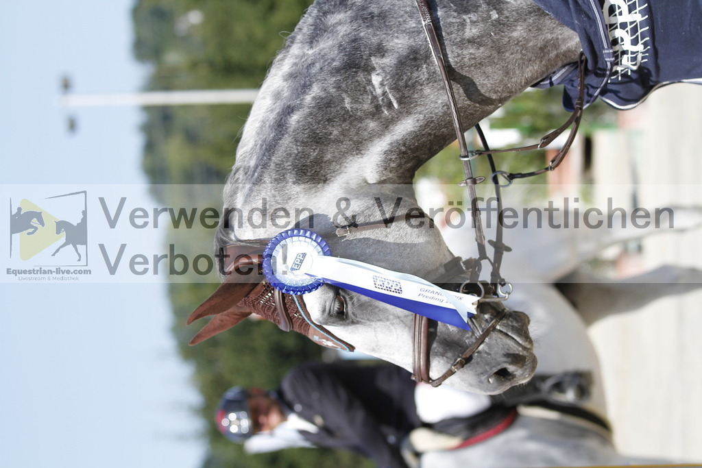_MG_5404 | equestrian-live-com