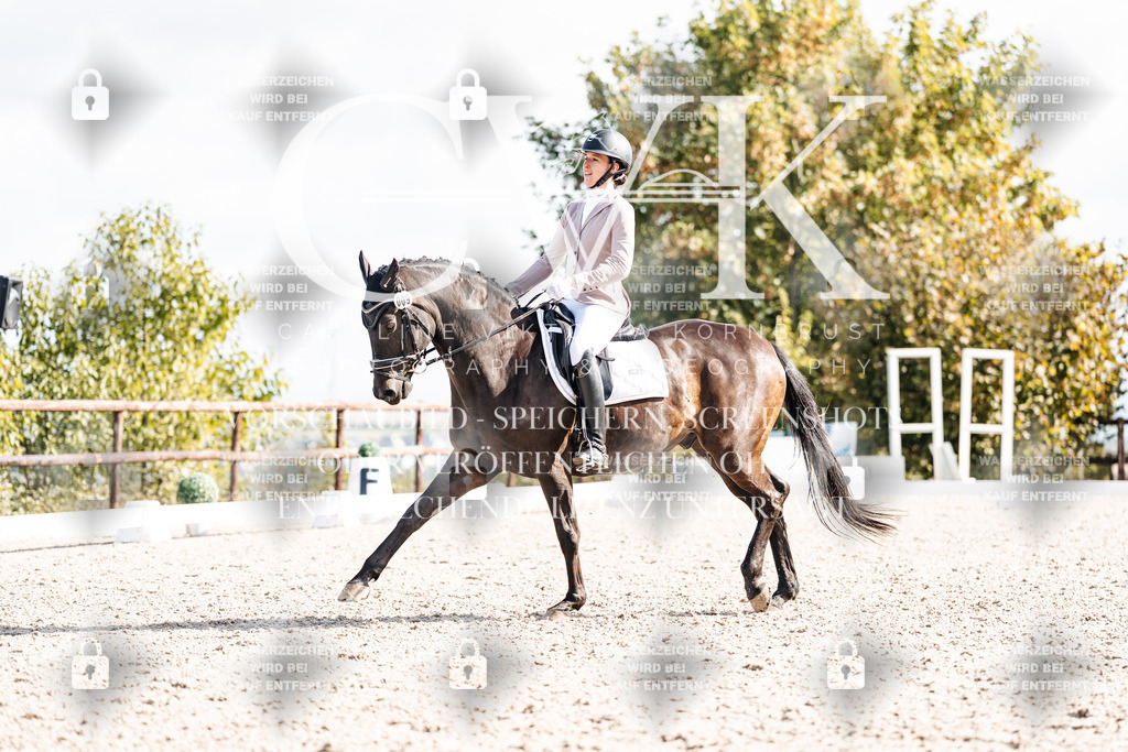 CK901932 | Turnierfotografie Pferdefotografie Trier Rheinland-Pfalz Pferdesport Reitsport Tierfotografie Sportfotografie Pferdevideo Pferdevideografie Equestrianvideography equestrianphotography  - Realisiert mit Pictrs.com