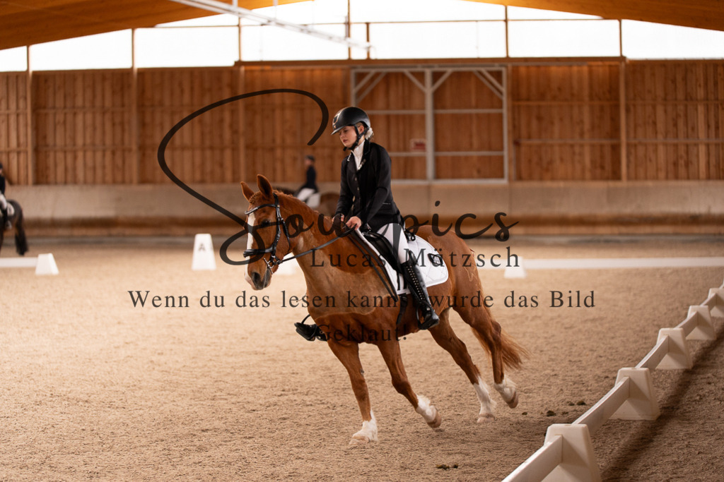 A7506933 | Turnier/Reitfotograf