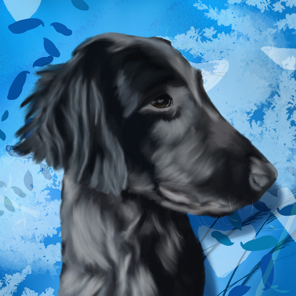 Kerry | Illustrationen, digitalpainting, animals, dogs, hunde, art, Kunst, Illustrationsart, Bielefeld, Germany - Realisiert mit Pictrs.com