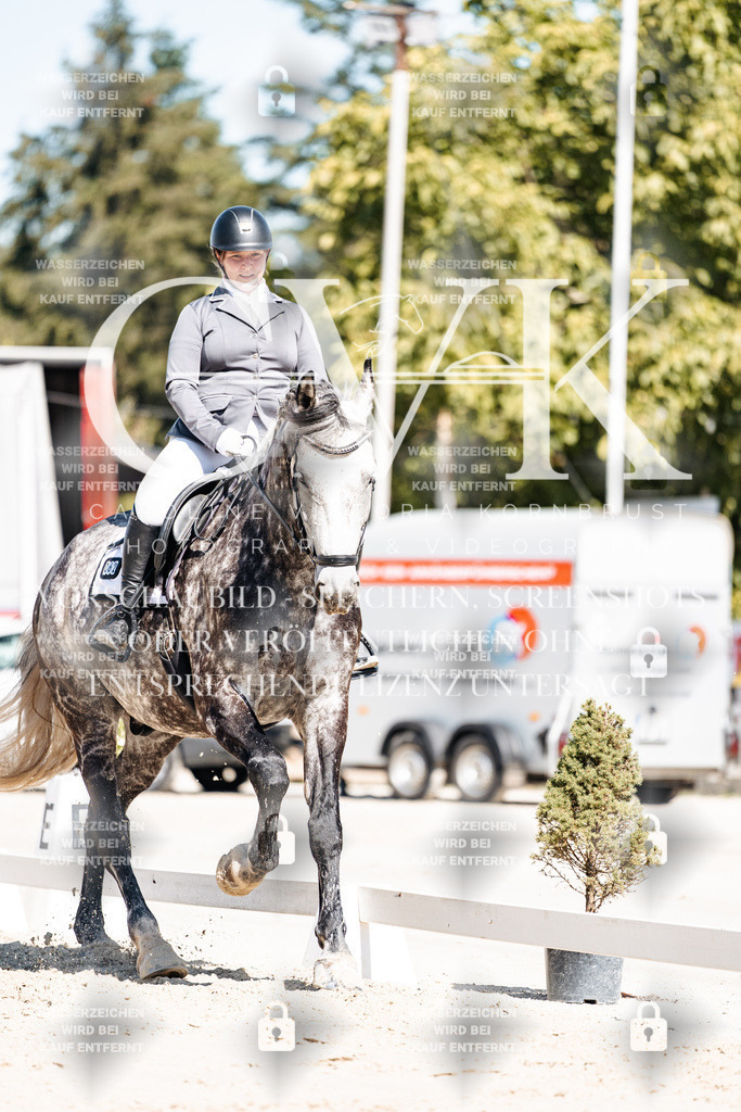 CK909061 | Turnierfotografie Pferdefotografie Trier Rheinland-Pfalz Pferdesport Reitsport Tierfotografie Sportfotografie Pferdevideo Pferdevideografie Equestrianvideography equestrianphotography  - Realisiert mit Pictrs.com