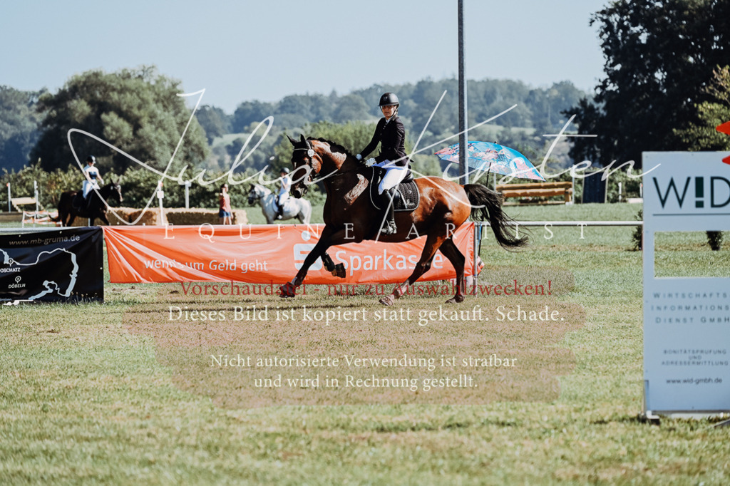 DSC_5530 | Pferde- und Turnierfotografie in Westsachsen. Pferdeportraits, Auftragszeichnungen und intuitive Kunst.