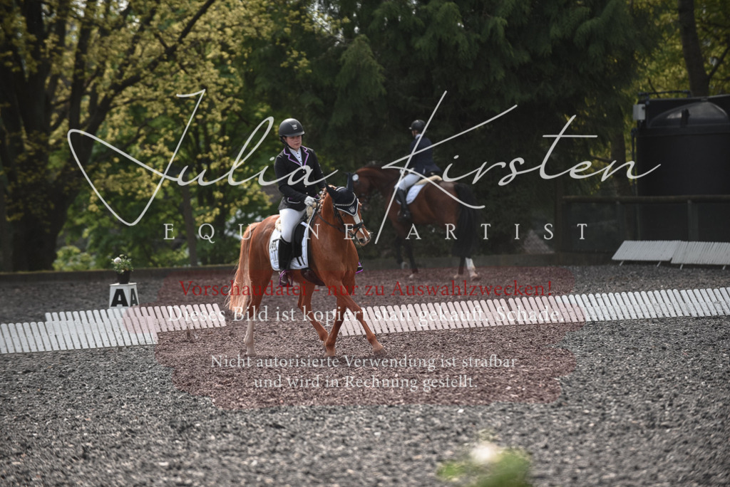 20230513_JK-Röhrsdorf-14-555 | Pferde- und Turnierfotografie in Westsachsen. Pferdeportraits, Auftragszeichnungen und intuitive Kunst.