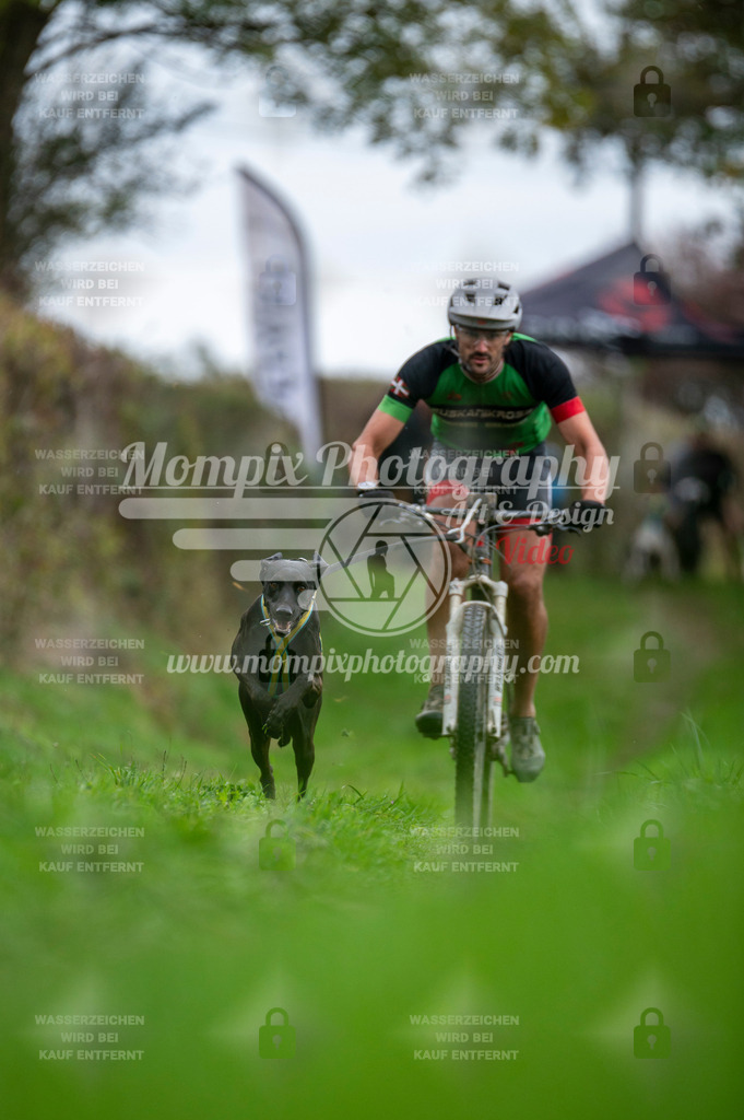 TSB_2023_E8_Bike-1 | PayLife