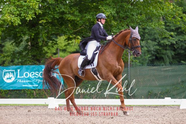 DKP41486 | Turniersportfotografie; Pferdefotografie; Dressurfotografie