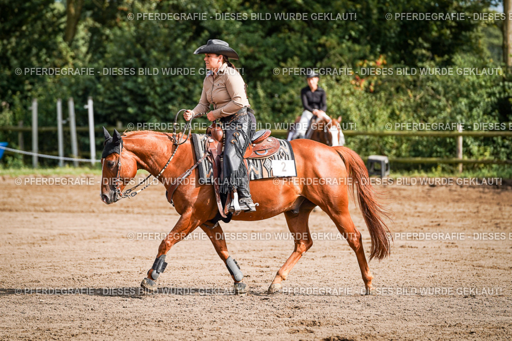 DSC09578 | Pferdegrafie