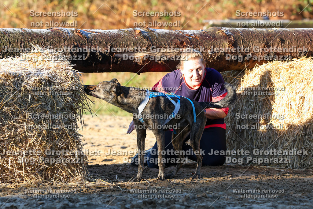 Dog Paparazzi - Strongdog 10-25-769 | Dog Paparazzi Jeanette Grottendiek Fotografie & Videografie - Realisiert mit Pictrs.com
