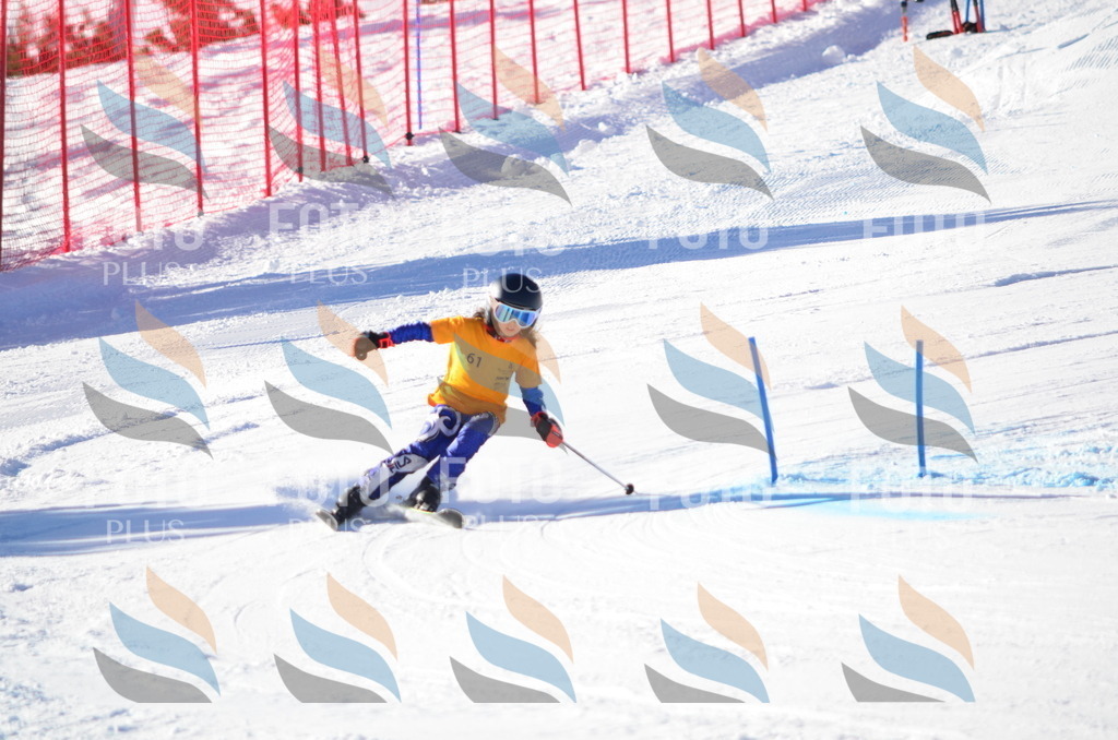 C5794 | holidayphoto