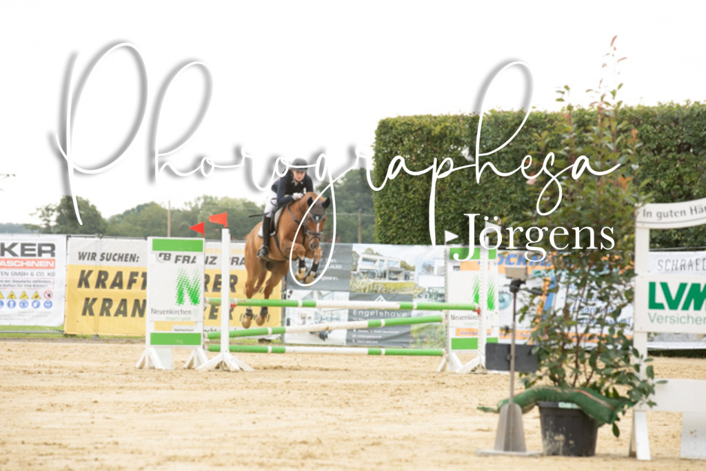 IMG_6583 | photographesa-joergens - Realisiert mit Pictrs.com