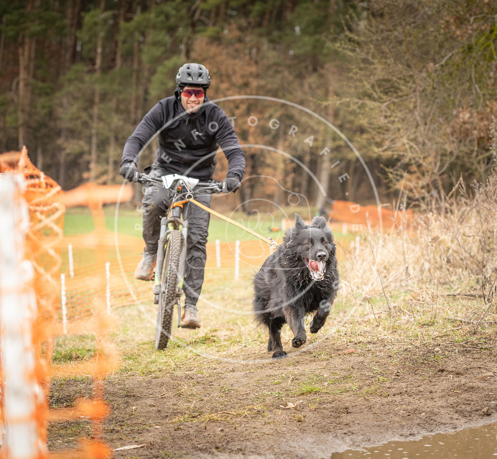 DV3A1089 | Hundefotografie, Tierfotograf, Pfotenfotografie, Fotoshooting Hund, Hunde Portrait, Hundesport, Hundeportraits, Heideshooting, Hunde, Sportfotograf, Hundefotograf, Turnierhundsport, THS,  - Realisiert mit Pictrs.com