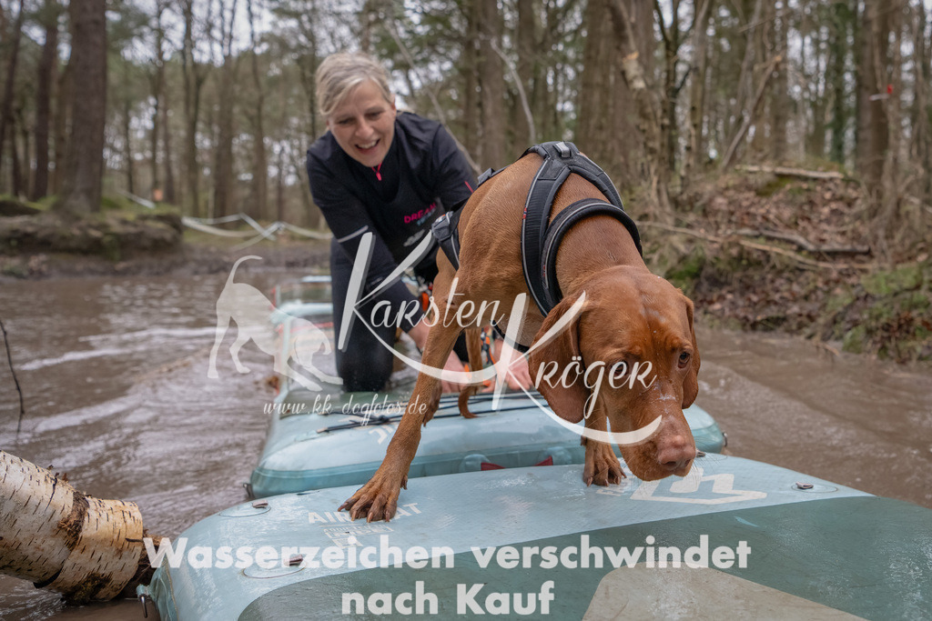 1145_ZZ94639-Bearbeitet | kk-dogfotos