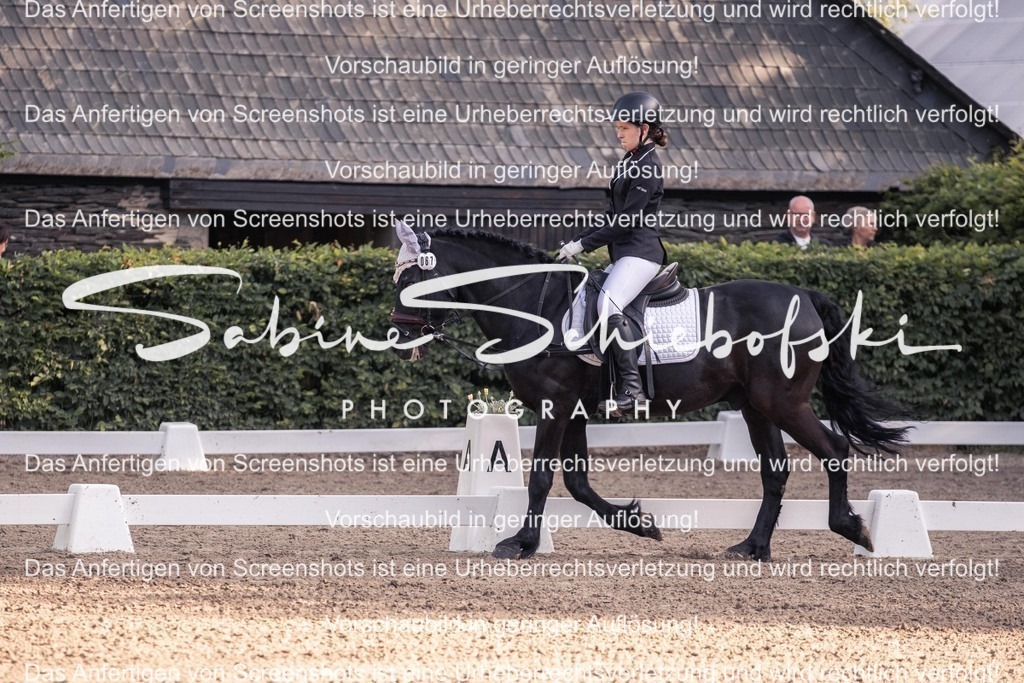 2025_05_31_DSCF2524 | People- und Tierfotografie, Imageaufnahmen, Veranstaltungsfotografie und Wandbilder aus der Natur ★ Made in Germany ✔️ Druck + Downloads ✔️ Naturfotografie in Top Qualität ★ schneller Versand, weltweite Lieferung! - Realisiert mit Pictrs.com