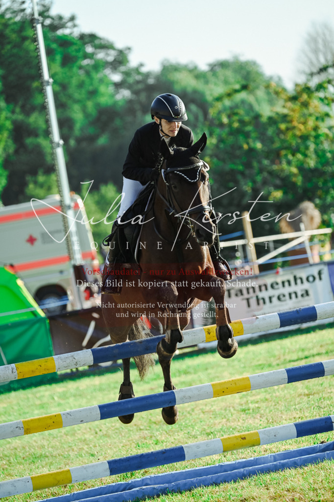 DSC_4413 | Pferde- und Turnierfotografie in Westsachsen. Pferdeportraits, Auftragszeichnungen und intuitive Kunst.