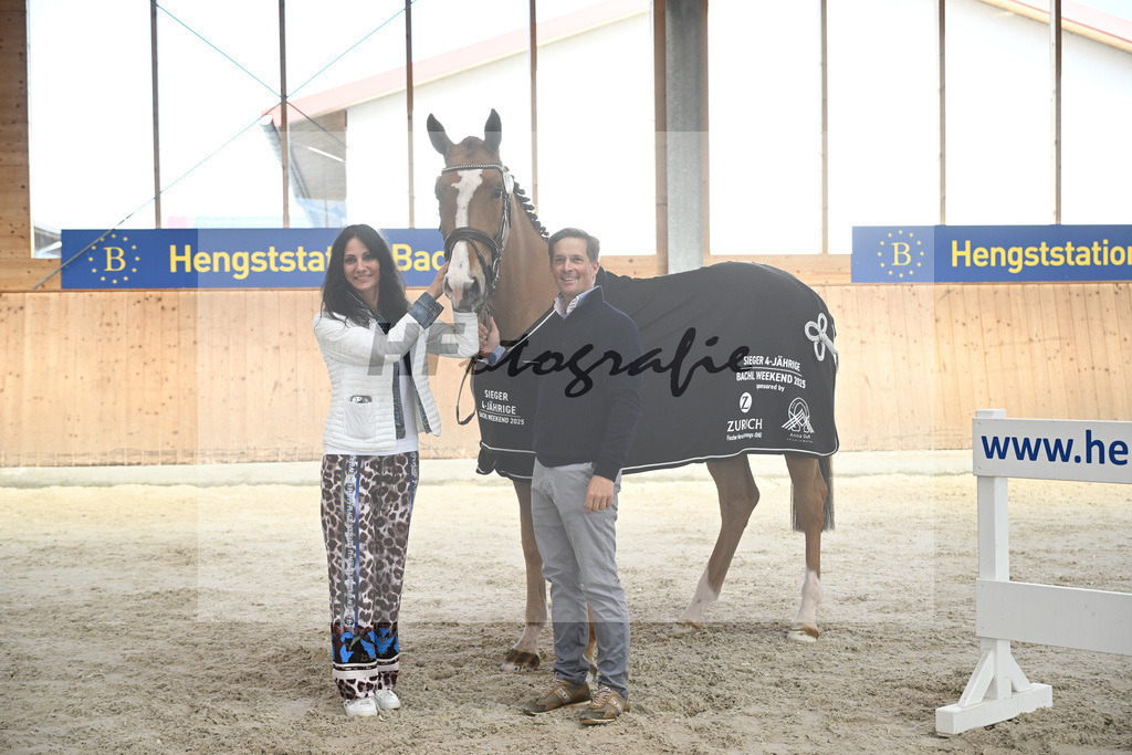 Kat-Nr. 52 Amir VT Z v. Aganix du Seigneur_Neukirch_5251906 | hf-fotografie - Realisiert mit Pictrs.com