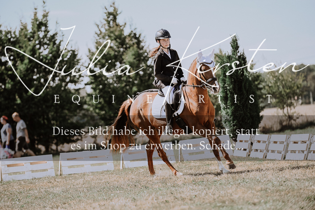 DSC_8776 | Pferde- und Turnierfotografie in Westsachsen. Pferdeportraits, Auftragszeichnungen und intuitive Kunst.