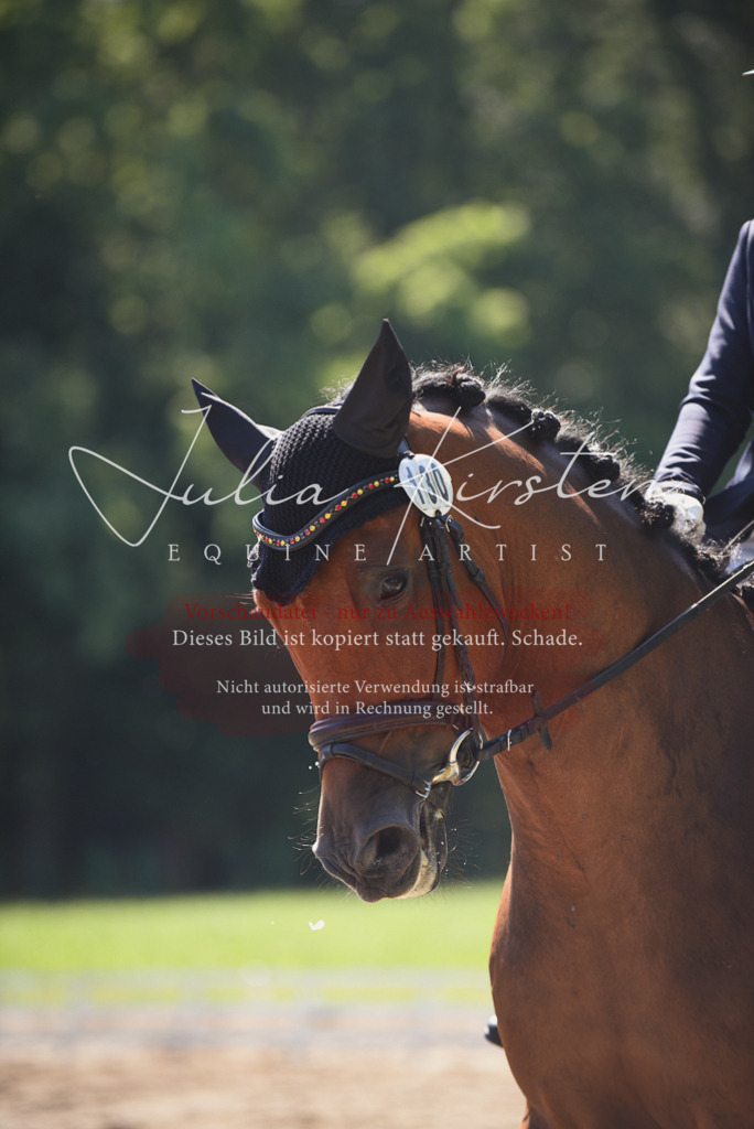 DSC_0569 | Pferde- und Turnierfotografie in Westsachsen. Pferdeportraits, Auftragszeichnungen und intuitive Kunst.