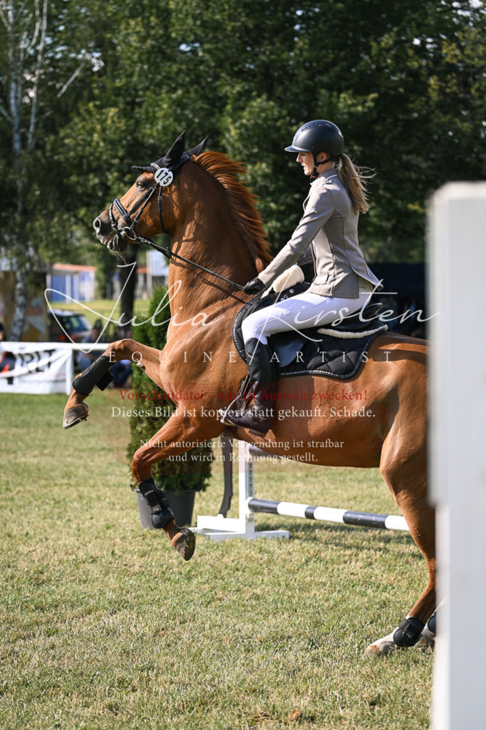 DSC_1283 | Pferde- und Turnierfotografie in Westsachsen. Pferdeportraits, Auftragszeichnungen und intuitive Kunst.