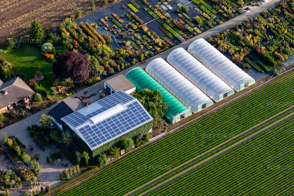 Luftbild: Baumschule Krüger in Mutterstadt im Bundesland Rheinland-Pfalz in Deutschland. Foto: IMG_71207.jpg vom 27.08.2014 durch Werner Riehm/FLY-FOTO.de