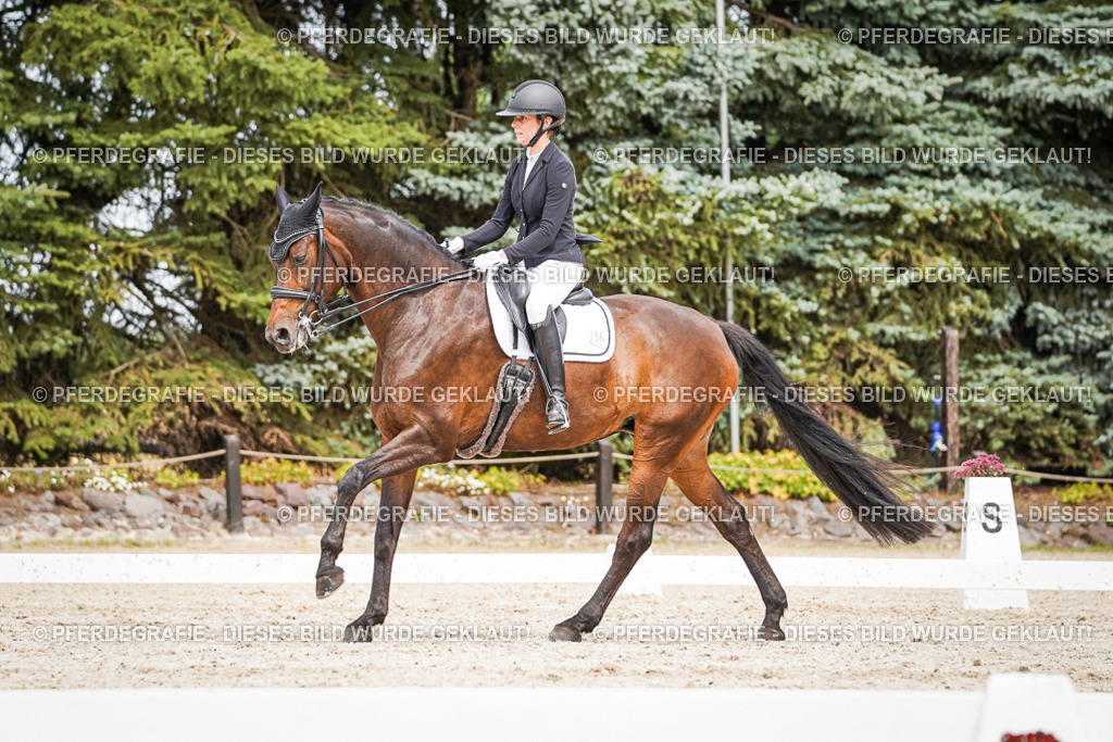 DSC05826 | Pferdegrafie