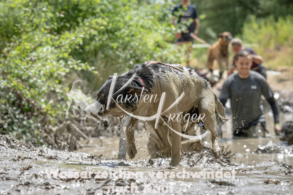 1436_ZZ93234 | kk-dogfotos