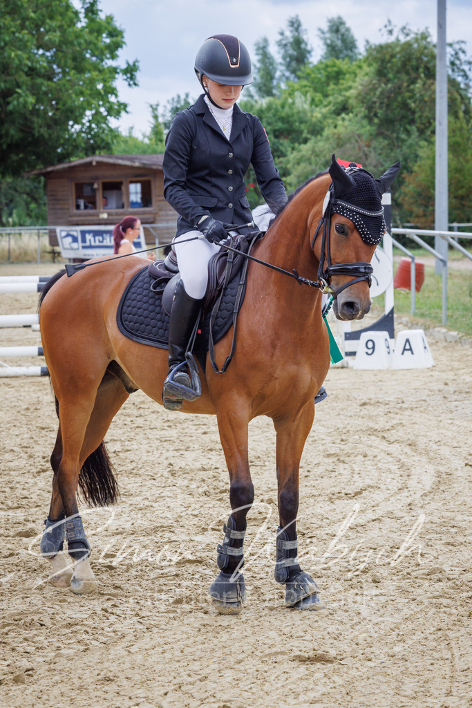 20260705-_3LI5642 | Tierfotografie Pferde, Hunde, Katzen, Haustiere.
Turnierfotografie Reitturniere, Reiten, Springreiten, Dressur in Hanau, dem Main-Kinzig-Kreis und dem Rhein-Main- Gebiet um Frankfurt