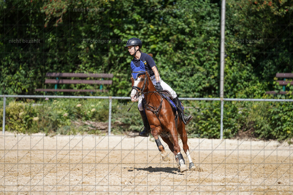 20240824-FAH08324 | Thierhaupten 2024, Bayerisches Landesponyturnier, Turnierbilder, Ponybilder, Turnierfotografen Bayern, Fotoagentur Herrmann