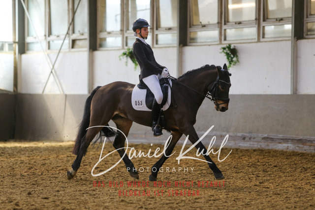 IMG_2564 | Turniersportfotografie; Pferdefotografie; Dressurfotografie