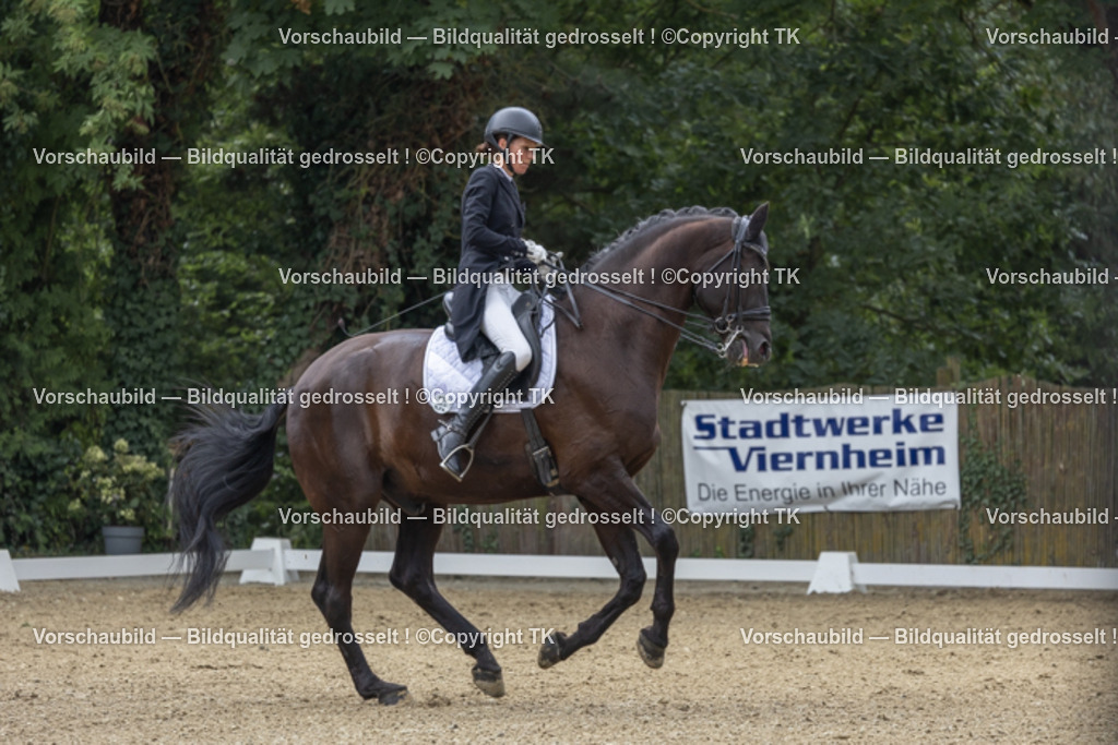 _D5A2689 | Emotionale Pferde- & People-Fotografie rund um Heidelberg, Leimen & Umgebung. Natürliche Fotos von Pferd, Mensch & Familie. Jetzt Termin sichern!