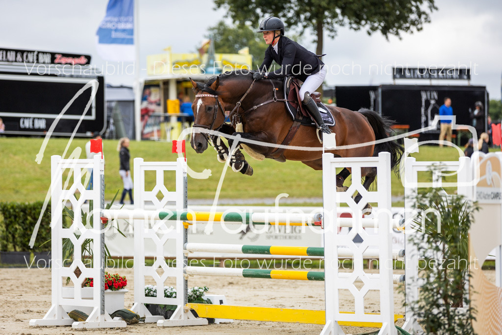 BHO-2PhSpr-M-5-2320 | MomenTaufnahmen Pferdesportfotos