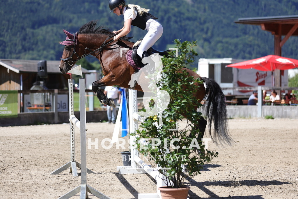 0P6A6100 | Willkommen bei Brunnmayr - Design & Fotografie – Ihrem Spezialisten für Reitturniere und Pferdeveranstaltungen in Oberösterreich, Salzburg und Bayern! Seit über 17 Jahren sind wir leidenschaftlich dabei.