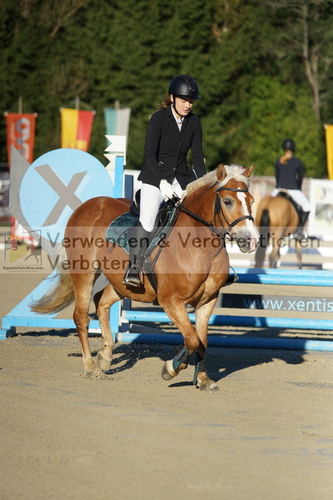 DSC08069 | equestrian-live-com