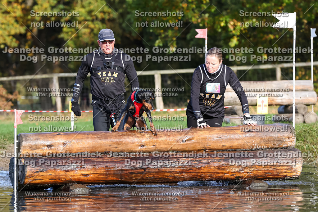 Dog Paparazzi - Strongdog 10-25-8445 | Dog Paparazzi Jeanette Grottendiek Fotografie & Videografie - Realisiert mit Pictrs.com