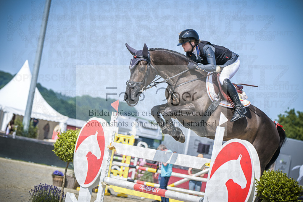 DOS_6605 | Entdecke hochwertige Reitturnierfotos von Foto Oger. Professionell, emotional und authentisch – jetzt Lieblingsmomente im Shop bestellen.Deutschlandweite Turnierfotografie. - Realisiert mit Pictrs.com