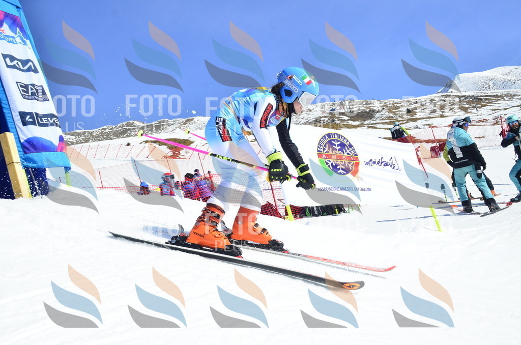 _ELE0286 | holidayphoto