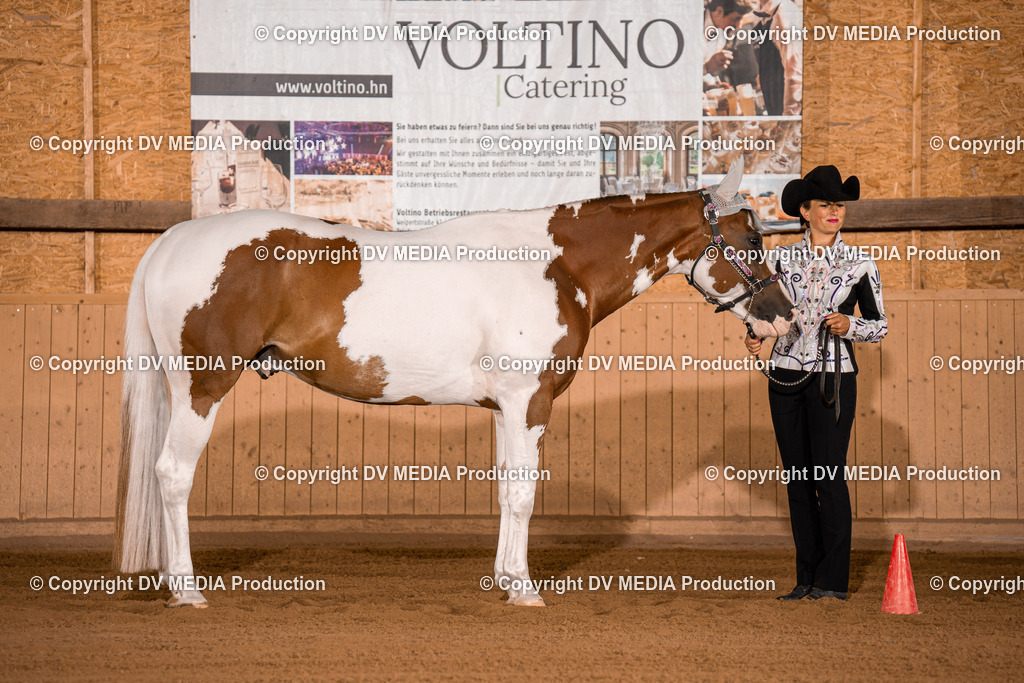 NE100070 | dv-media-shop - Realisiert mit Pictrs.com