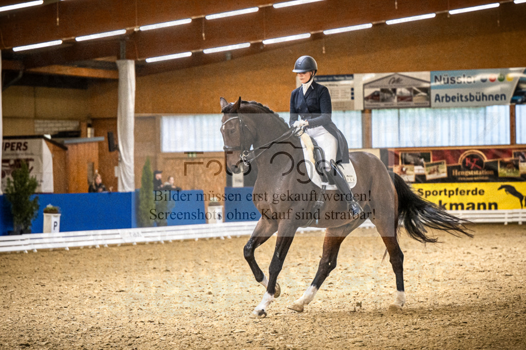 DOS_2202 | Entdecke hochwertige Reitturnierfotos von Foto Oger. Professionell, emotional und authentisch – jetzt Lieblingsmomente im Shop bestellen.Deutschlandweite Turnierfotografie. - Realisiert mit Pictrs.com