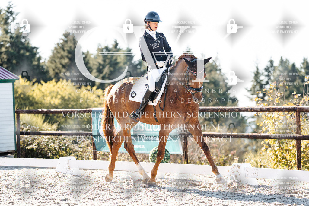 CK906637 | Turnierfotografie Pferdefotografie Trier Rheinland-Pfalz Pferdesport Reitsport Tierfotografie Sportfotografie Pferdevideo Pferdevideografie Equestrianvideography equestrianphotography  - Realisiert mit Pictrs.com