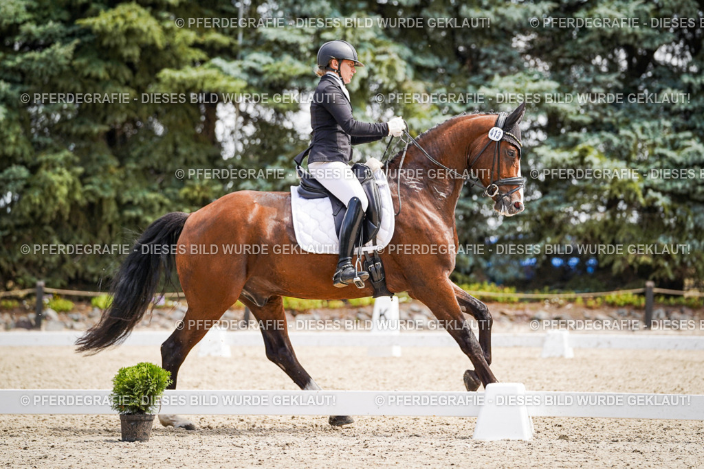 DSC00382 | Pferdegrafie