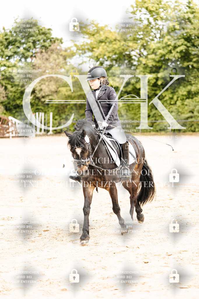 CK904289 | Turnierfotografie Pferdefotografie Trier Rheinland-Pfalz Pferdesport Reitsport Tierfotografie Sportfotografie Pferdevideo Pferdevideografie Equestrianvideography equestrianphotography  - Realisiert mit Pictrs.com
