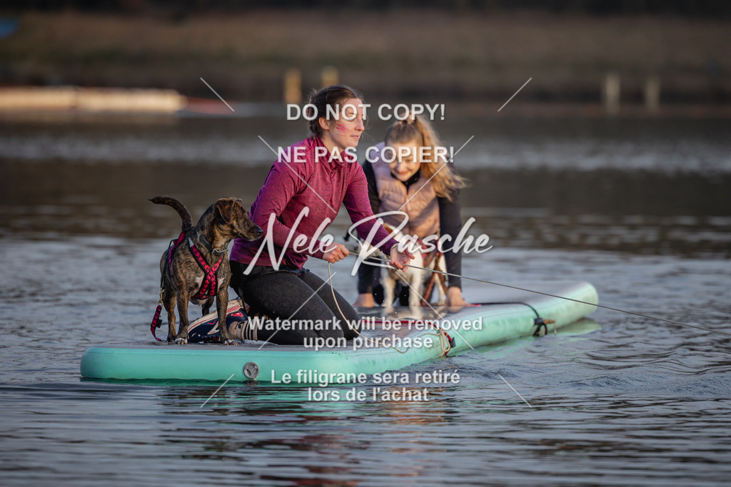 nelerasche_Hulsbeek_Sa1730-Ende_311 | nelerasche