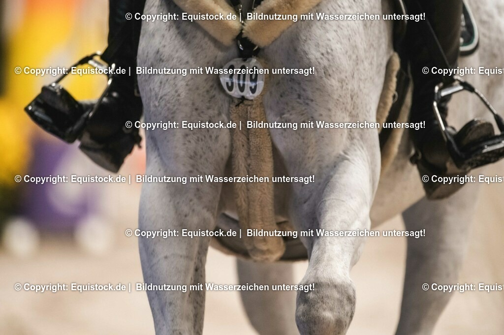 20231116_BW-Bank-Hallenchampionat_0063_TOMsPiC-2 | Foto: Thomas Hartig