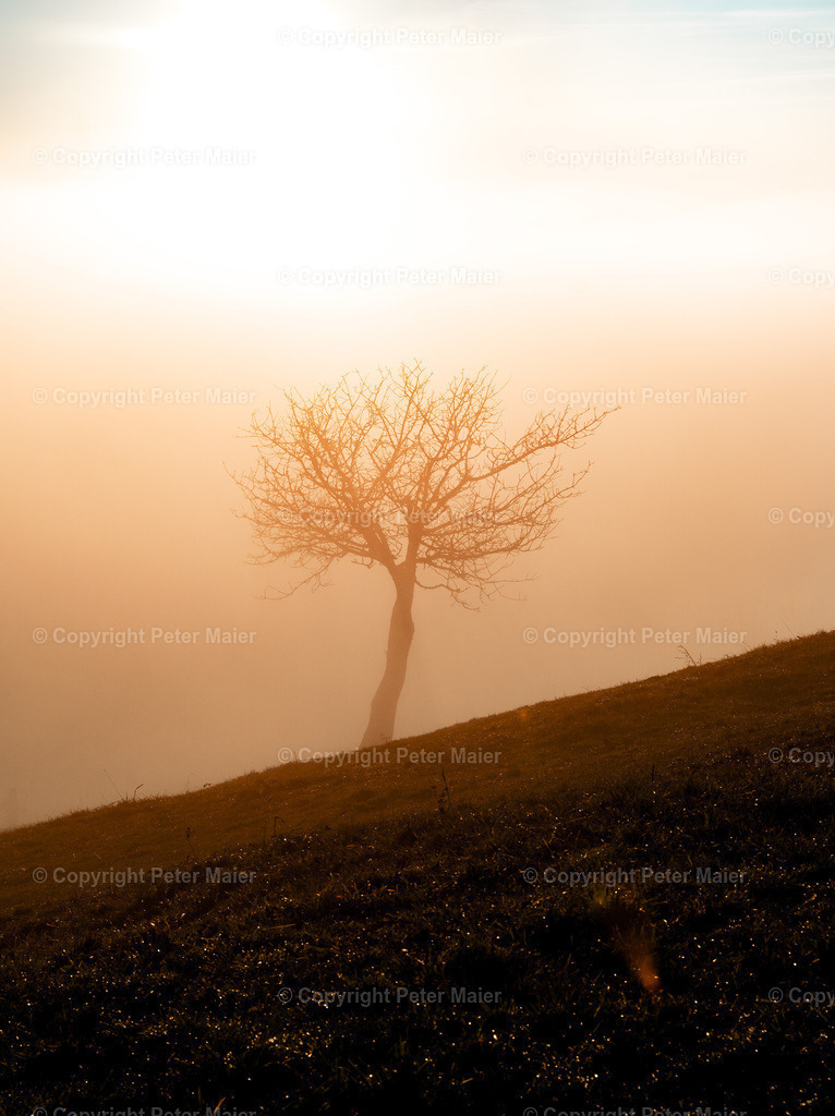 Magdalensberg-368 | piet_flosse