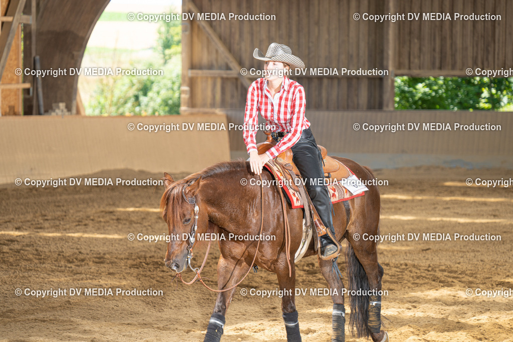 DSC00087 | dv-media-shop - Realisiert mit Pictrs.com