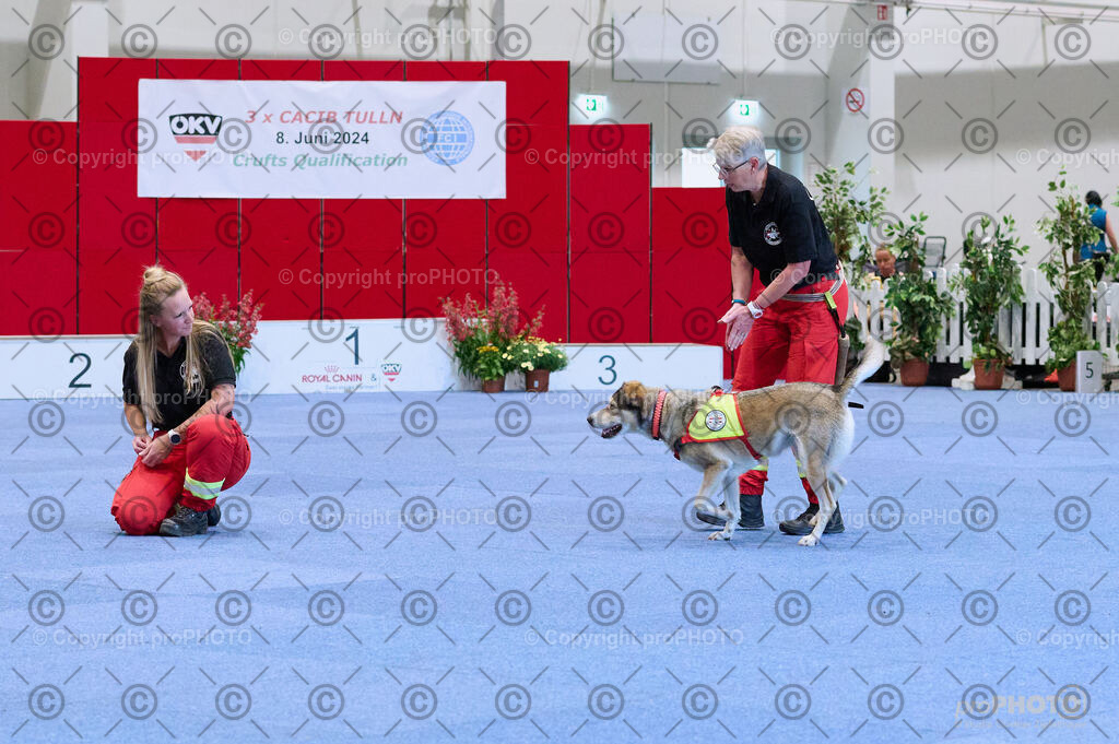 202406_ÖKV-IHA-Tulln24_DSC_3477 | proPHOTO - Realisiert mit Pictrs.com