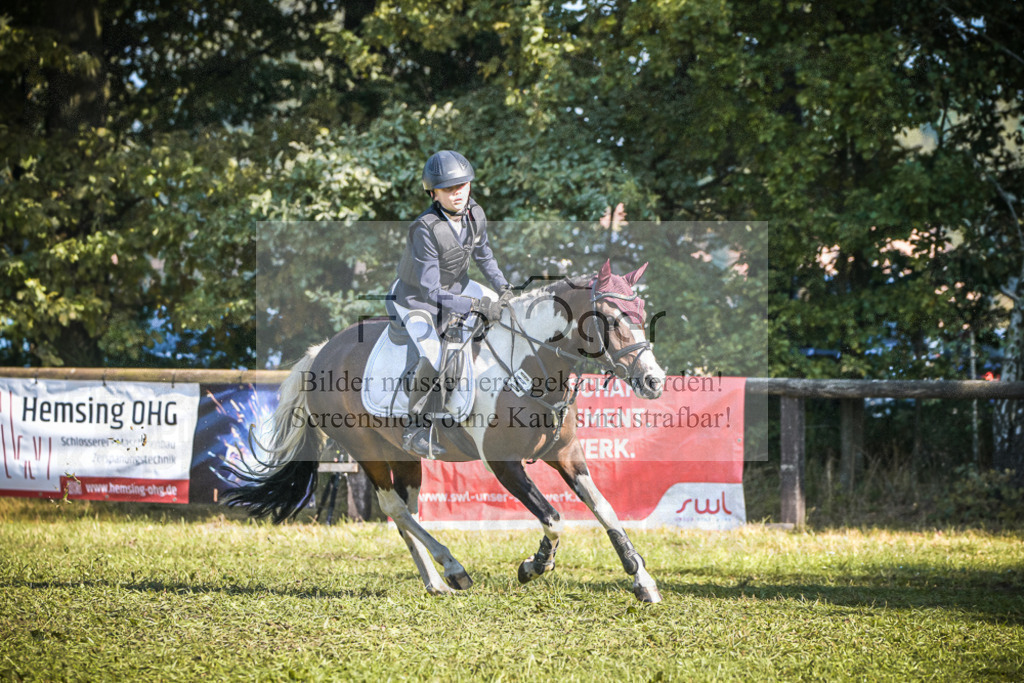 DOS_0355 | Entdecke hochwertige Reitturnierfotos von Foto Oger. Professionell, emotional und authentisch – jetzt Lieblingsmomente im Shop bestellen.Deutschlandweite Turnierfotografie. - Realisiert mit Pictrs.com