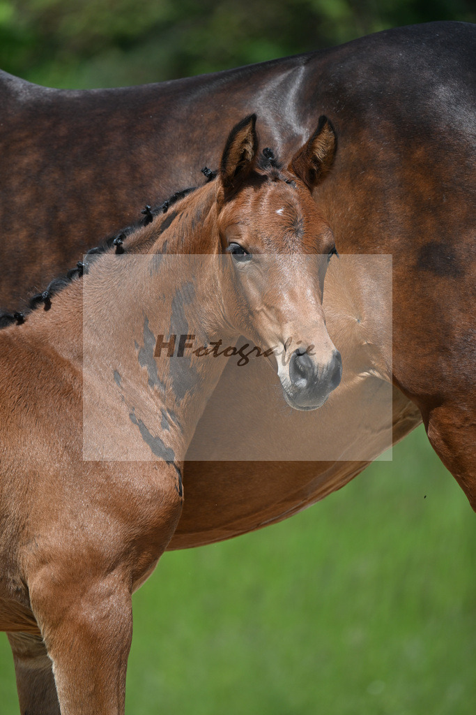 Vingino x Catoo_SF_Haller_10250768 | hf-fotografie - Realisiert mit Pictrs.com