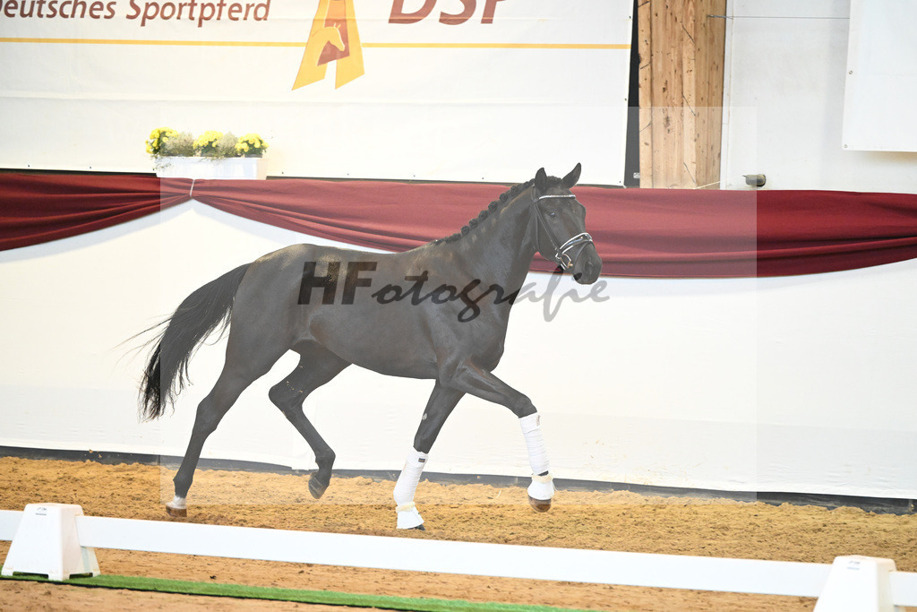 Kat-Nr. 25 v. Donier_Koch_66220264 | hf-fotografie - Realisiert mit Pictrs.com